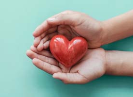 Cupped hands hold a stone heart